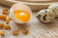 Yolk in the shell of a chicken egg Royalty Free Stock Photo