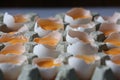Yolks in a carton of eggs Royalty Free Stock Photo