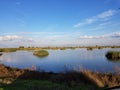 Yolo county wetlands home of yolo wildlife conservation