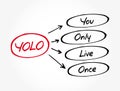 YOLO - You Only Live Once acronym