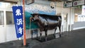 Yonezawa Station. Yamagata Prefecture, Japan Royalty Free Stock Photo