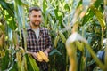 Yong handsome agronomist in the corn field and examining crops before harvesting. Agribusiness concept. agricultural engineer Royalty Free Stock Photo