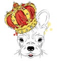 York in the crown. Dog. Vector illustration.