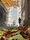 Autumn View Of York Minster
