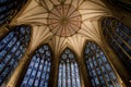 York Minster Chapter House Ceiling Royalty Free Stock Photo
