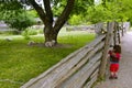 Girl look through the wooden fence in an animal farm to have a view of the sheep