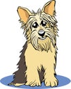 Yorkie cartoon Royalty Free Stock Photo