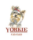 Yorkie fan club dog