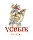 Yorkie fan club Yorkshire terrier dog