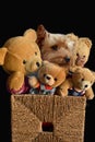 Yorkie and four teddy bears sitting in sisal box