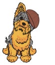 Yorkie in roudn cap Royalty Free Stock Photo