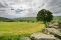 Yorkshire dales