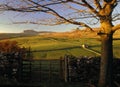 Yorkshire dales Royalty Free Stock Photo