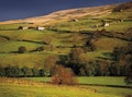 Yorkshire dales Royalty Free Stock Photo