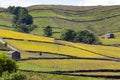 Yorkshire Dales - England Royalty Free Stock Photo