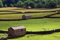 Yorkshire Dales Farmland - England Royalty Free Stock Photo