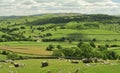 Yorkshire Dales, fields and meadows Royalty Free Stock Photo