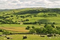 Yorkshire Dales, hay meadows Royalty Free Stock Photo