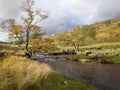 Yorkshire Dales National Park stream Royalty Free Stock Photo