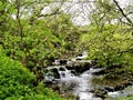 Yorkshire Dales river