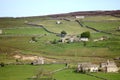 Yorkshire Dales vista with rock walls and farms