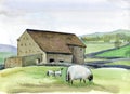 Yorkshire farm and sheep with two lambs at the meadow, England. Watercolor hand drawn landscape Royalty Free Stock Photo