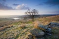 Yorkshire moorland view Royalty Free Stock Photo