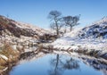 Yorkshire moorland winter landscape Royalty Free Stock Photo
