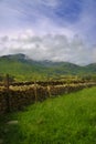 Yorkshire moors Royalty Free Stock Photo