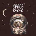 Yorkshire Terrier astrodog portrait. Cute space dog. Vector illustration