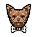 Yorkshire terrier. Bone. Dog portrait. Good boy inscription. Vector.