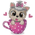 Yorkshire terrier with a bow is sitting in a Cup of coffee