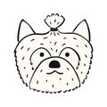 Yorkshire terrier cute cartoon dog illustration Royalty Free Stock Photo