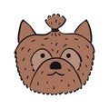 Yorkshire terrier cute cartoon dog illustration Royalty Free Stock Photo