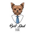 Yorkshire terrier dad. Fathers day greeting card. Mens shirt. Necktie. Best dad ever lettering. Vector. Royalty Free Stock Photo