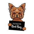 Yorkshire Terrier dog Bad boy. Dog criminal. Police mugshot background. Yorkshire terrier prison. Arrested dog. Vector.