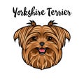 Yorkshire terrier dog breed. Dog portrait. Yorkshire Terrier portrait. Vector.