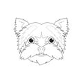 Yorkshire Terrier dog easy coloring cartoon vector illustration. Isolated on white background Royalty Free Stock Photo