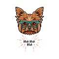 Yorkshire terrier dog geek. Smart glasses. Dog portrait. Vector.