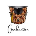 Yorkshire terrier dog graduate. Graduations cap hat. Graduation inscription. Cute dog portrait. Vector. Royalty Free Stock Photo
