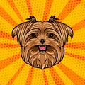 Yorkshire terrier dog head. Cute domestic dog portrait. Dogs face, muzzle. Colorful background. Vector. Royalty Free Stock Photo