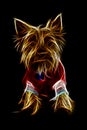 Yorkshire Terrier Dog Illustration