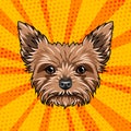 Yorkshire terrier dog portrait. Cute dog. Yorkshire Terrier breed. Vector illustration.