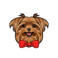 Yorkshire terrier dog portrait. Decorative bow. Red bow. Dog head, face, muzzle. Vector.