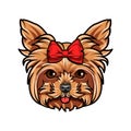 Yorkshire Terrier dog portrait. Red bow. Accessory. Yorkshire terrier breed. Vector.