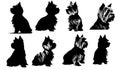 Yorkshire Terrier Dog Silhouette Bundle SVG. Cut File Show Dog Vector Art Pet Dog files for Cricut, Silhouette