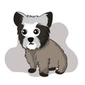 Yorkshire terrier dog vector illustration
