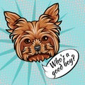 Yorkshire terrier dog. Who is good boy lettering. Dog head. Yorkshire terrier muzzle, face. Vector.