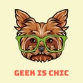 Yorkshire Terrier geek. Smart glasses. Dog nerd. Geek is chic text. Vector.