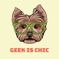 Yorkshire terrier Geek. Smart glasses. Geek is chic. Dog nerd. Vector.